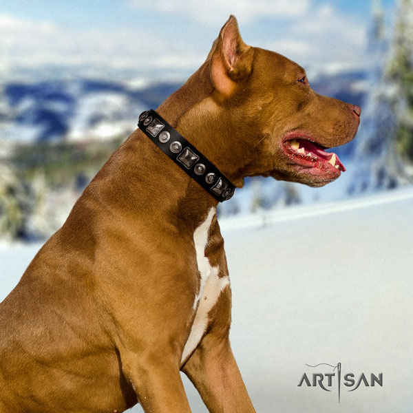 Pitbull comfortable natural genuine leather dog collar with impressive decorations