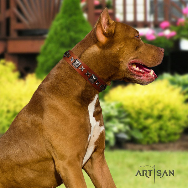 Pitbull easy wearing natural genuine leather dog collar with stylish studs