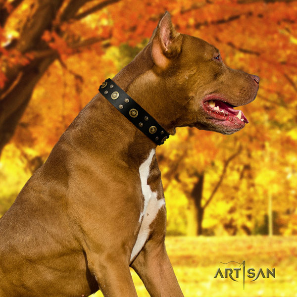 Pitbull handcrafted natural genuine leather dog collar with awesome decorations