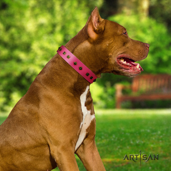 Pitbull easy adjustable full grain natural leather dog collar with impressive decorations