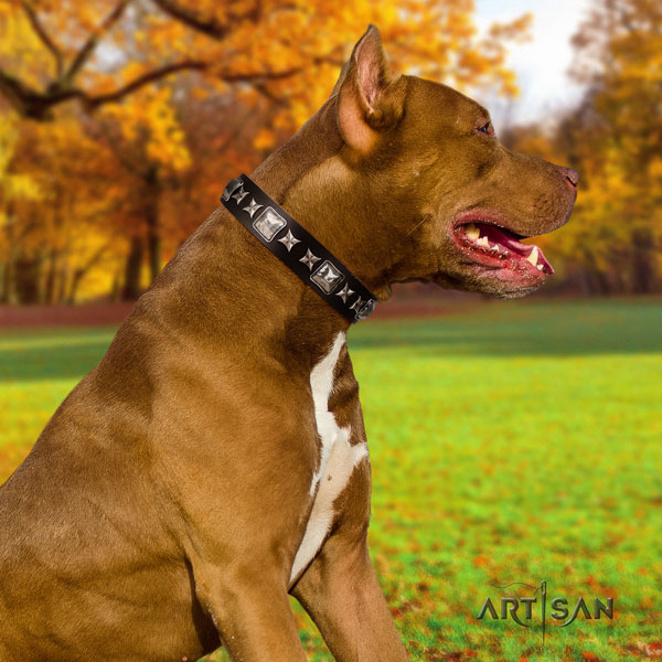 Pitbull convenient full grain genuine leather dog collar with impressive decorations