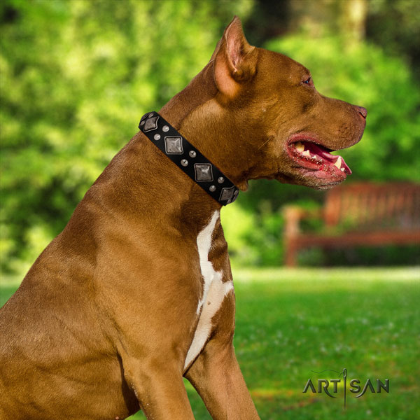 Pitbull fine quality full grain natural leather dog collar with awesome decorations