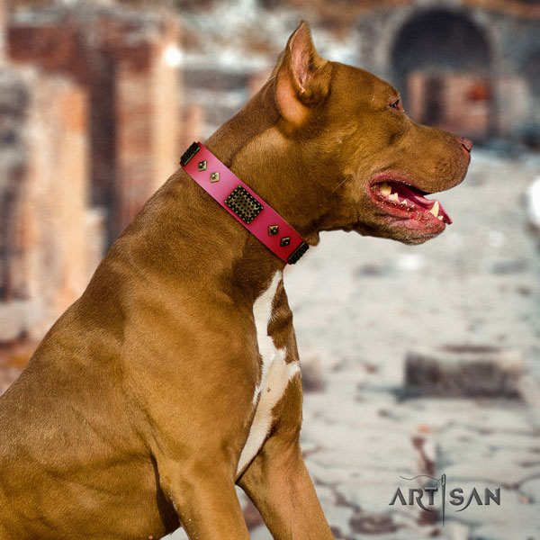 Pitbull easy adjustable full grain leather dog collar with stylish decorations