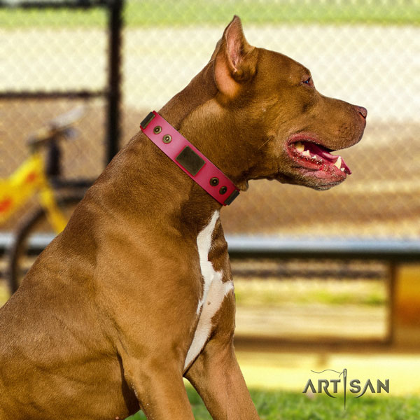 Pitbull easy wearing leather dog collar with stylish design decorations
