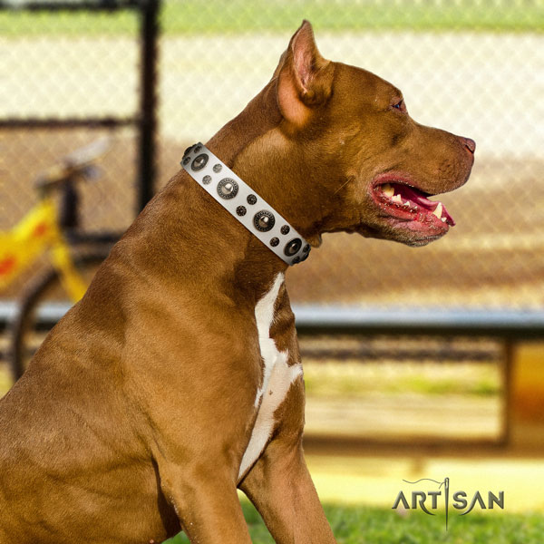 Pitbull handmade natural genuine leather dog collar with exquisite studs