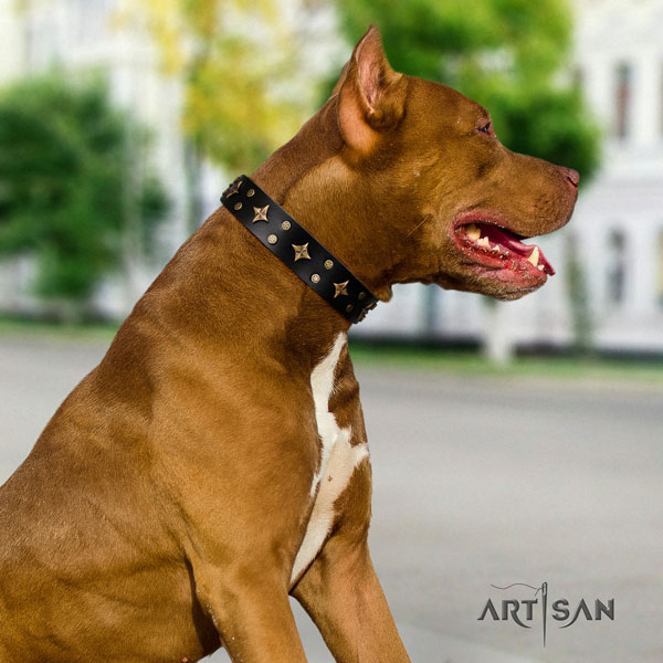 Pitbull convenient full grain genuine leather dog collar with awesome decorations