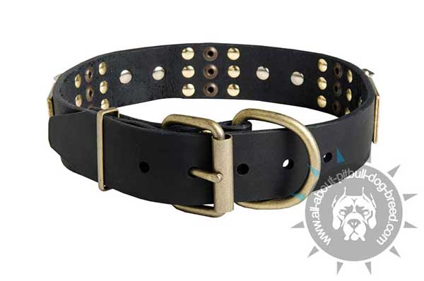 Decorated Leather Collar with Stunning Design