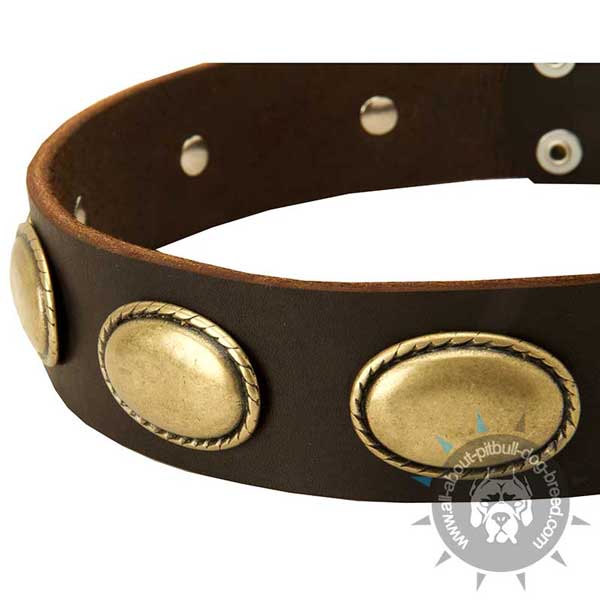Best-fitted leather dog collar