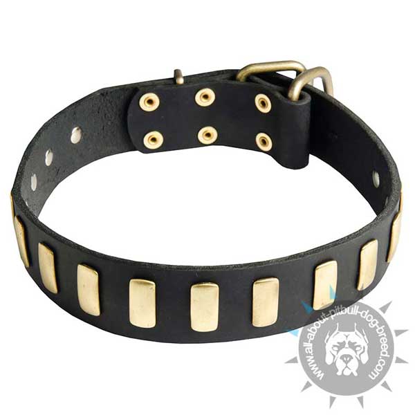 Leather Collar   with Brass Reliable Fittings