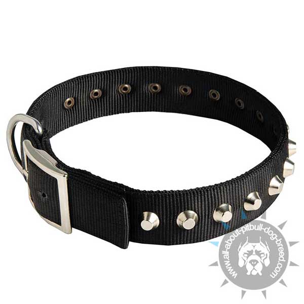 Soft nylon collar for Pitbulls