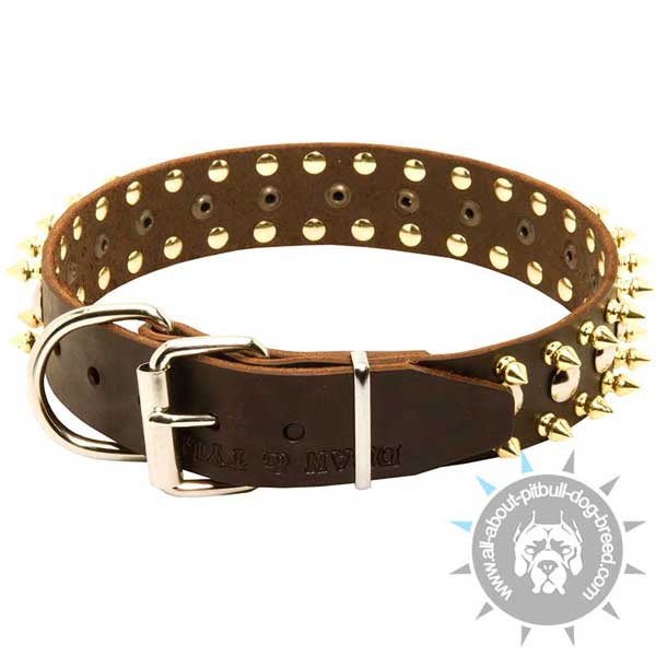 High quality leather dog collar