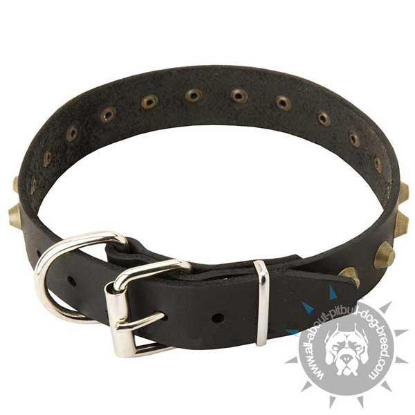 Studded leather dog collar