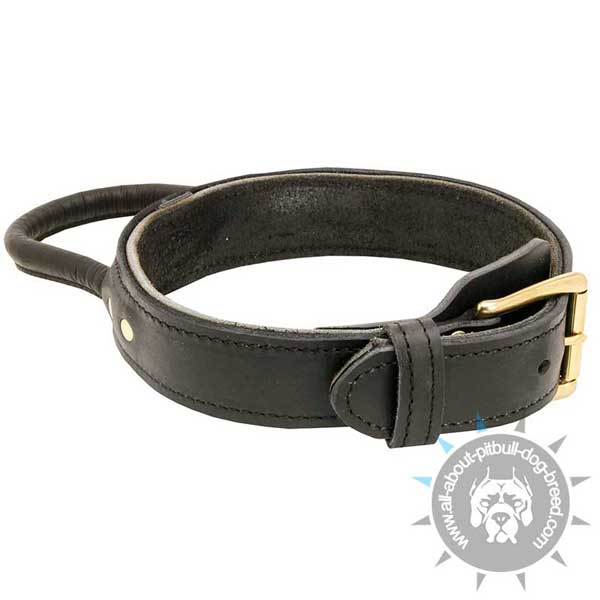 Brand leather dog collar