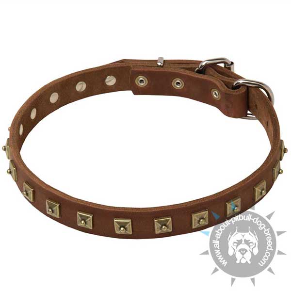 Top quality leather dog collar with handset studs