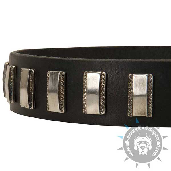 Practical leather dog collar