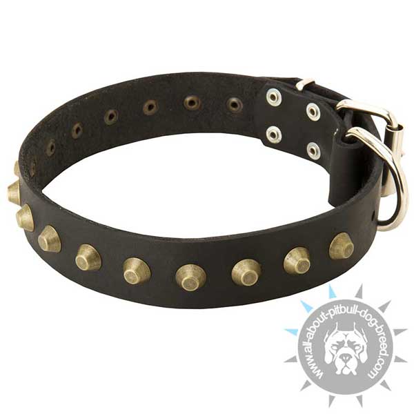 Beautiful leather dog collar