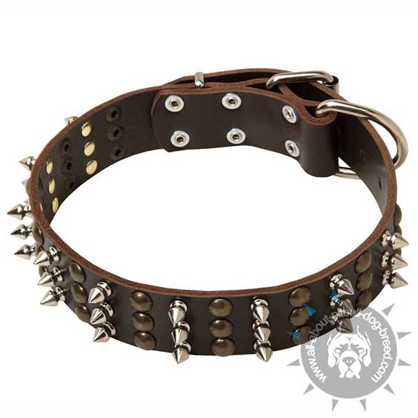 Spiked and Studded Leather Pitbull Collar