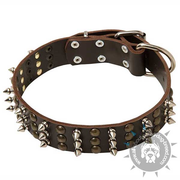 Spiked and Studded Leather Collar with Rust-proof Decorations