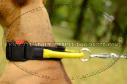 Finest Dog Nylon Collar