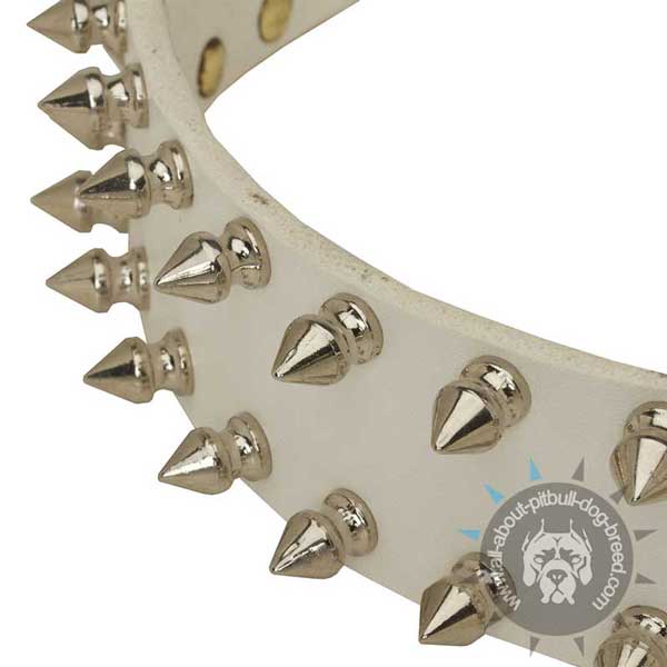 White Leather Collar with 2 Rows of Spikes