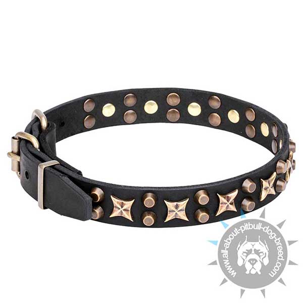 Soft Leather Collar for Stylish Pitbulls