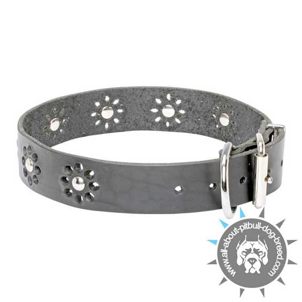 Natural Leather Collar with Adjustable Buckle