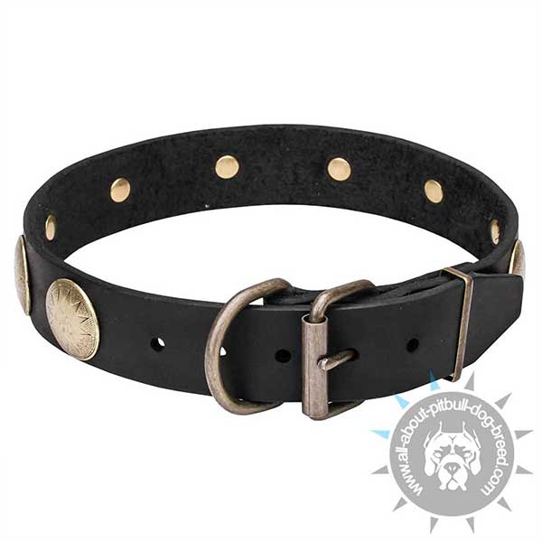 Easy-to-adjust Leather Collar with Brass Buckle and D-ring