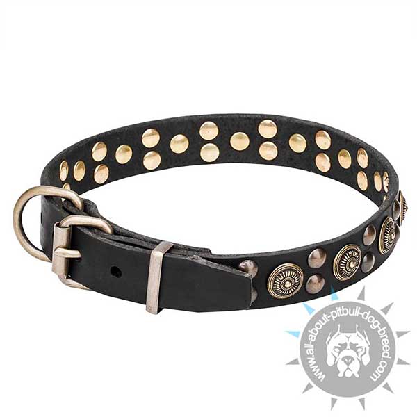 Premium Leather Dog Collar with Strong Hardware