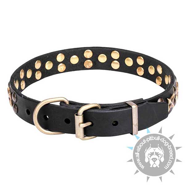 Time-proof Collar with Rust-resistant Hardware
