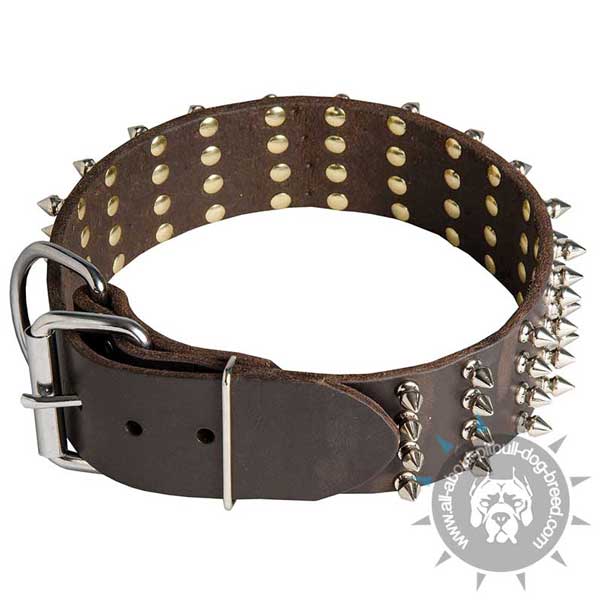 Leather Pitbull Collar with Riveted Spikes