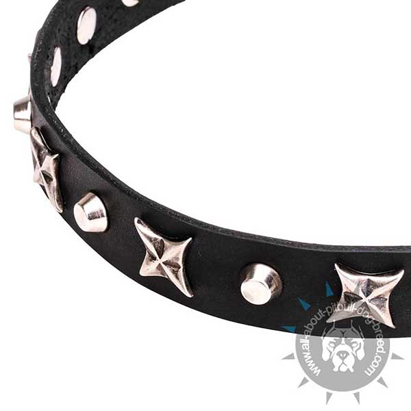 Nickel Plated Stars and Cones on Genuine Leather Collar 