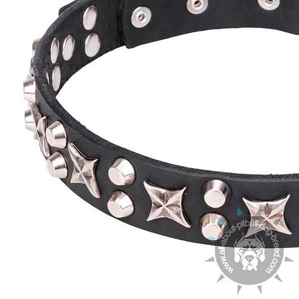 Dog Leather Collar with Shiny Stars and Pyramids