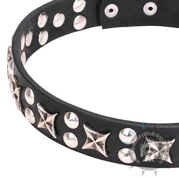 Genuine Leather Collar with Stars and Studs