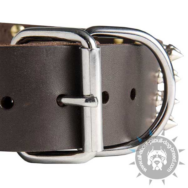 Durable Hardware on Leather Pitbull Collar