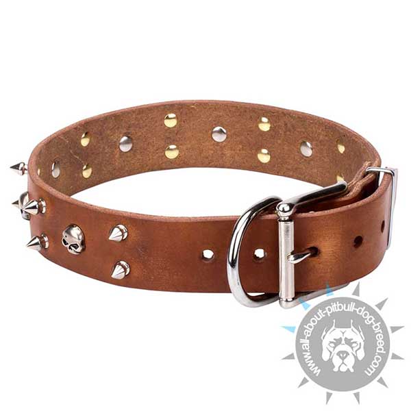 Genuine Leather Collar with Nickel-Plated Hardware