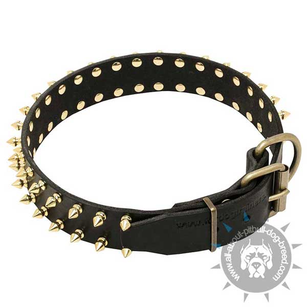 Durable Dog Leather Collar with Massive Hardware