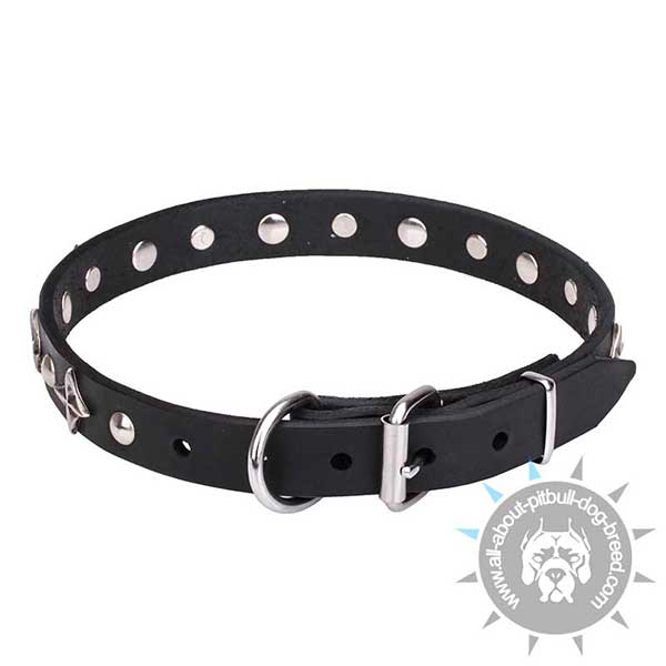 Handmade Leather Collar with Strong Hardware