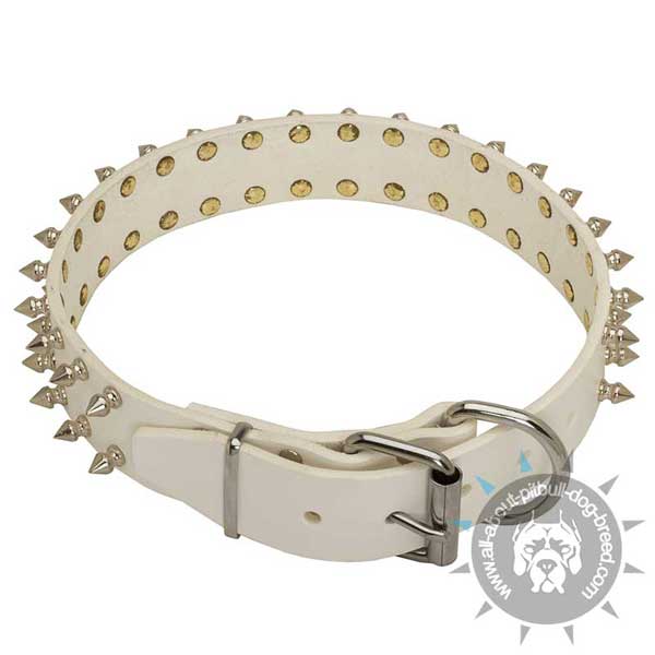 Spiked Pitbull Leather Collar with Nickel Hardware