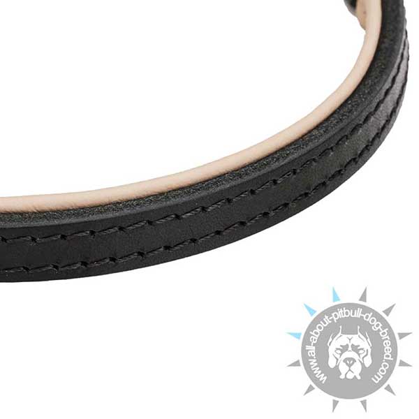 Nappa Padded Leather Choke Collar for Pitbull