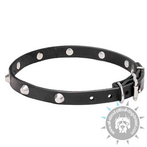 Walking Leather Dog Collar with Chrome Plated Pyramids