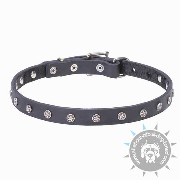 Decorated Leather Collar for Daily Walking