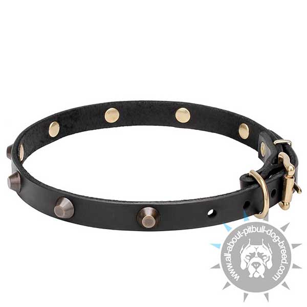 Thin Walking Dog Collar for Pitbull