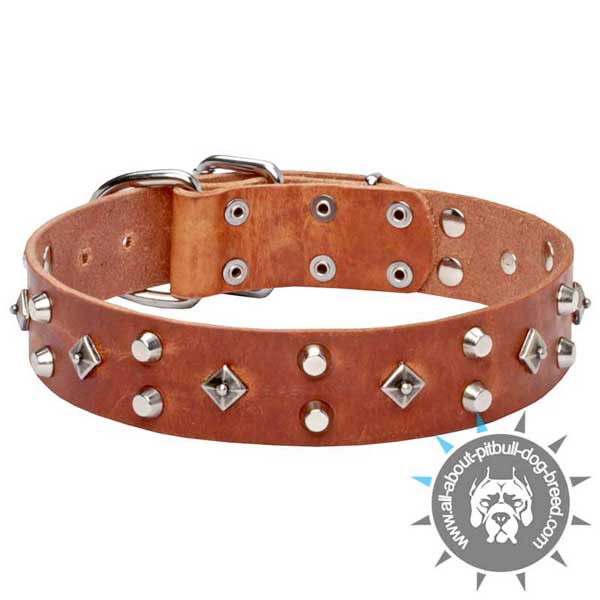 Buckle Style Tan Leather Dog Collar with Stylish Decor