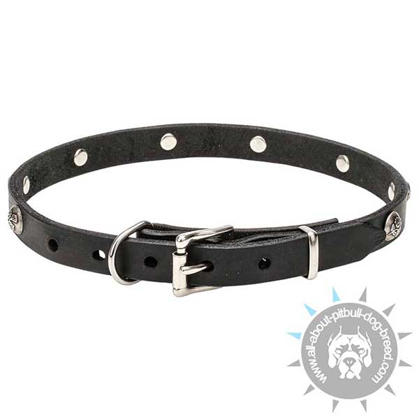 Excellent Quality Leather Collar with Rust-proof Fittings