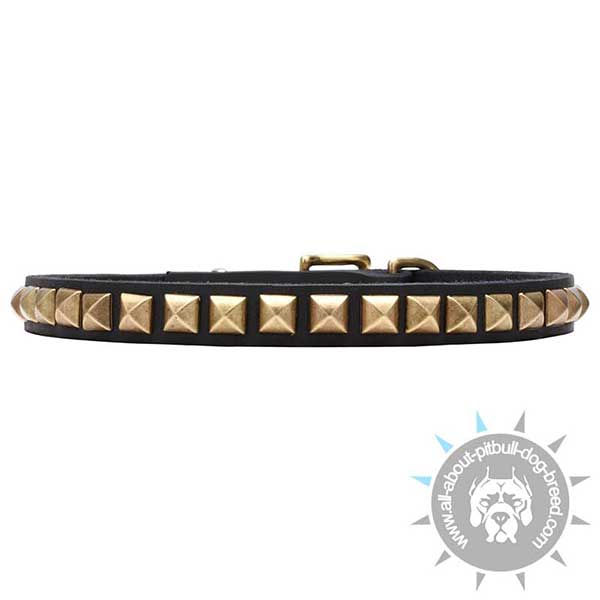 Narrow Leather Collar with Brass Pyramids