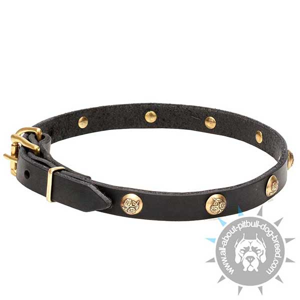 Amazing Elegant Leather Collar with Stylish Decor