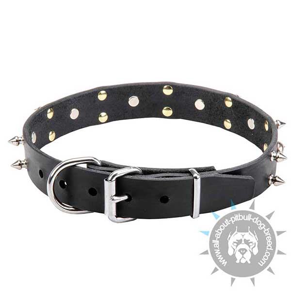 Unique Design Leather Collar with Nickel Hardware