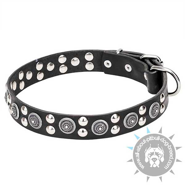 Premium Leather Dog Collar Super Stylish
