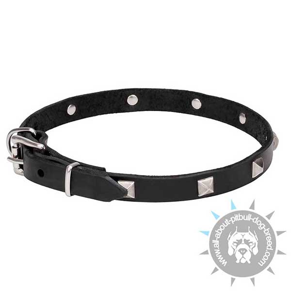 Comfortable Leather Dog Collar Decorated with Studs
