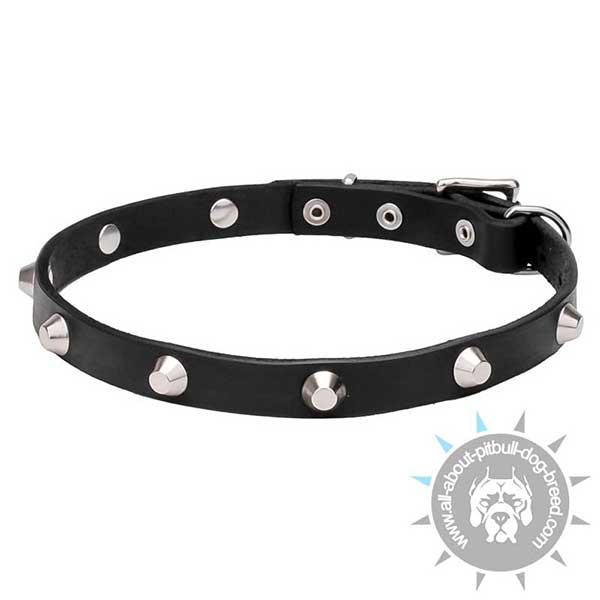 Selected Leather Dog Collar Decorated with Cones